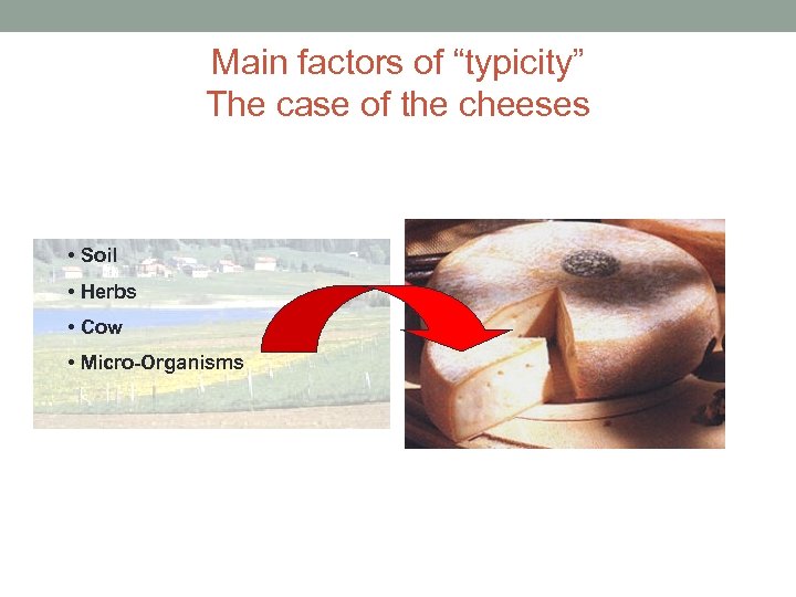 Main factors of “typicity” The case of the cheeses • Soil • Herbs •