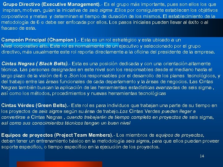  Grupo Directivo (Executive Management). - Es el grupo más importante, pues son ellos