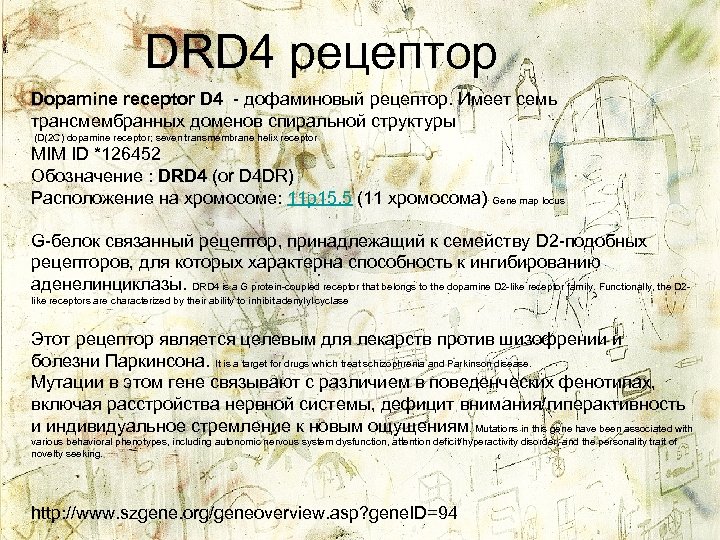 DRD 4 рецептор Dopamine receptor D 4 - дофаминовый рецептор. Имеет семь трансмембранных доменов