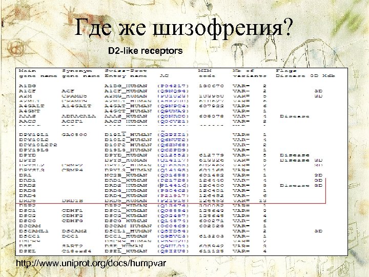 Где же шизофрения? D 2 -like receptors http: //www. uniprot. org/docs/humpvar 