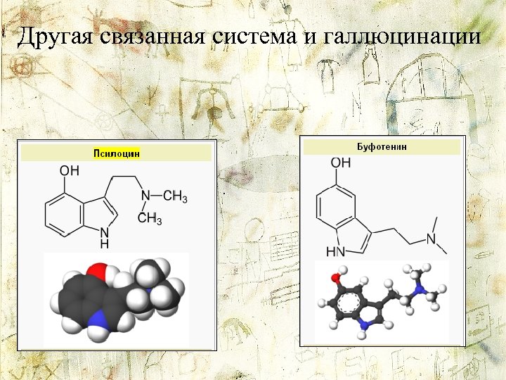 Другая связанная система и галлюцинации 