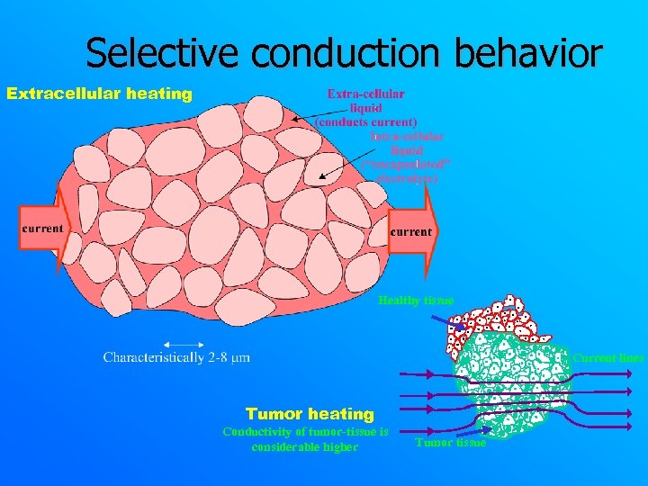 Selective conduction behavior Extracellular heating Healthy tissue Current lines Tumor heating Conductivity of tumor-tissue