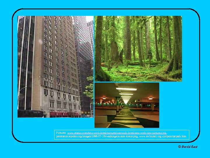 Pictures: www. readio. com/new-york-hotel/pictures/warwick-hotel-new-york-city-pictures. jpg , pantransit. reptiles. org/images/1996 -07 -28/washington-rain-forest. png, www. at-bristol.