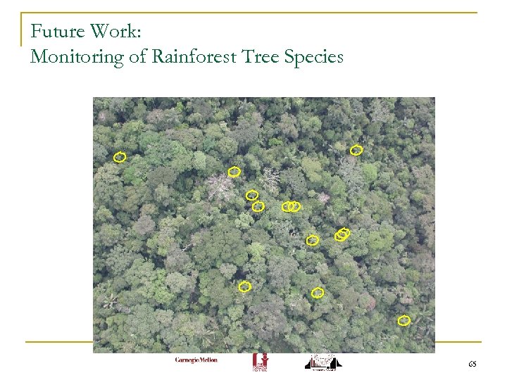 Future Work: Monitoring of Rainforest Tree Species 65 