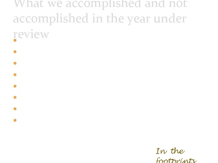 What we accomplished and not accomplished in the year under review Unqualified audit (BUT