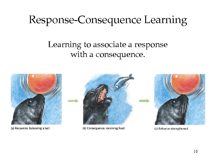 Response-Consequence Learning to associate a response with a consequence. 10 