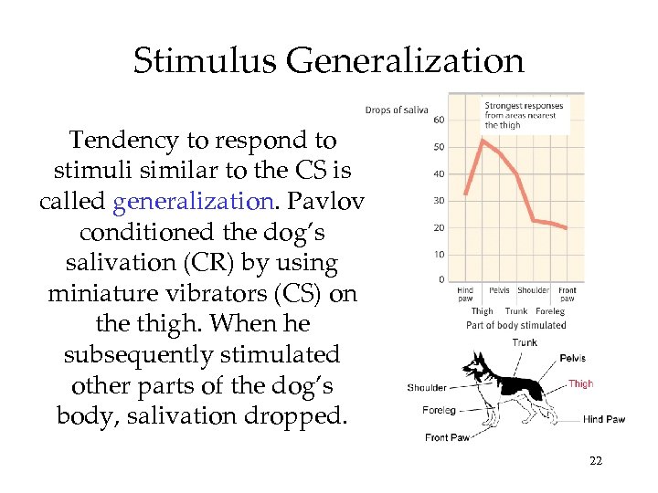 Stimulus Generalization Tendency to respond to stimuli similar to the CS is called generalization.