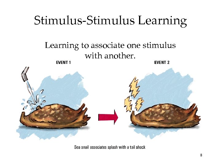 Stimulus-Stimulus Learning to associate one stimulus with another. 8 