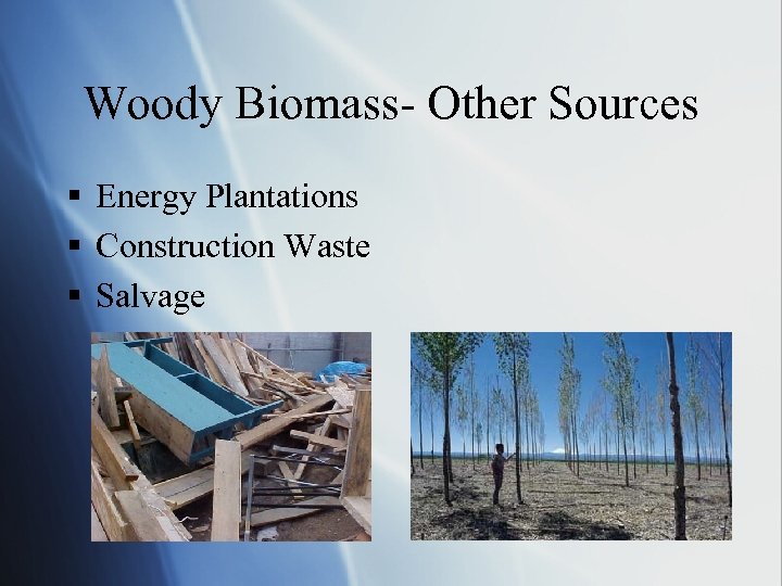Woody Biomass- Other Sources § Energy Plantations § Construction Waste § Salvage 