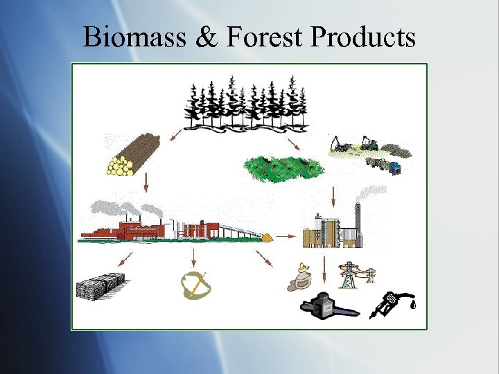 Biomass & Forest Products 