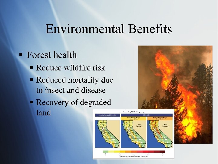 Environmental Benefits § Forest health § Reduce wildfire risk § Reduced mortality due to