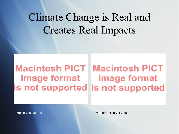 Climate Change is Real and Creates Real Impacts Hurricane Katrina Mountain Pine Beetle 