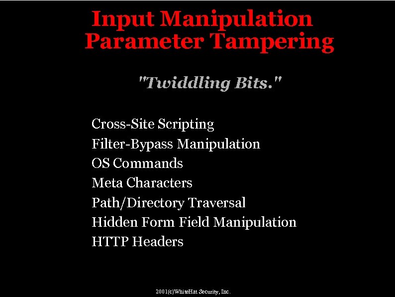 Input Manipulation Parameter Tampering "Twiddling Bits. " " " " Cross-Site Scripting Filter-Bypass Manipulation