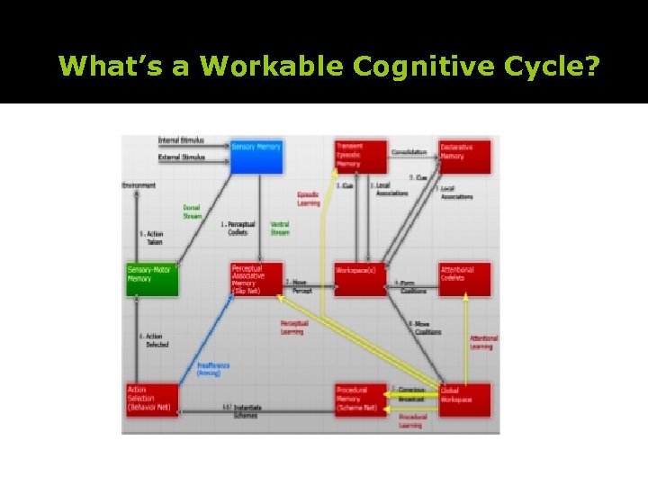 What’s a Workable Cognitive Cycle? 