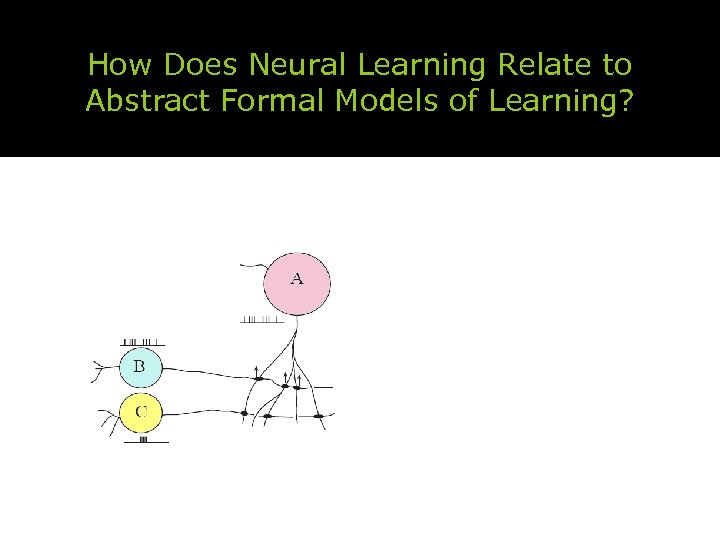 How Does Neural Learning Relate to Abstract Formal Models of Learning? 