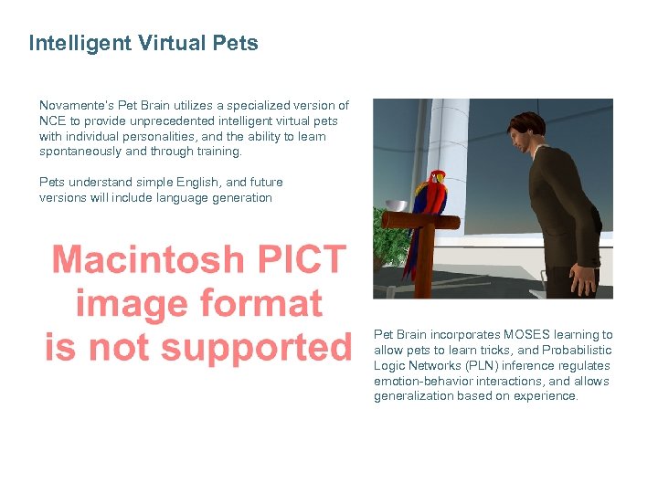 Intelligent Virtual Pets Novamente’s Pet Brain utilizes a specialized version of NCE to provide