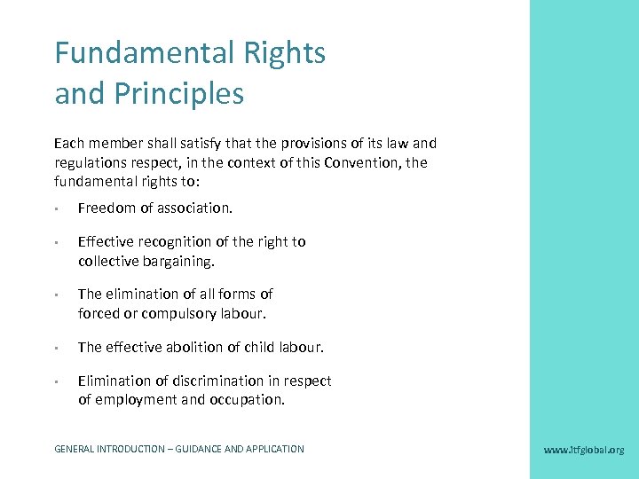 Fundamental Rights and Principles Each member shall satisfy that the provisions of its law