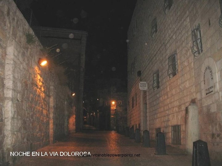 NOCHE EN LA VIA DOLOROSA www. vitanoblepowerpoints. net 
