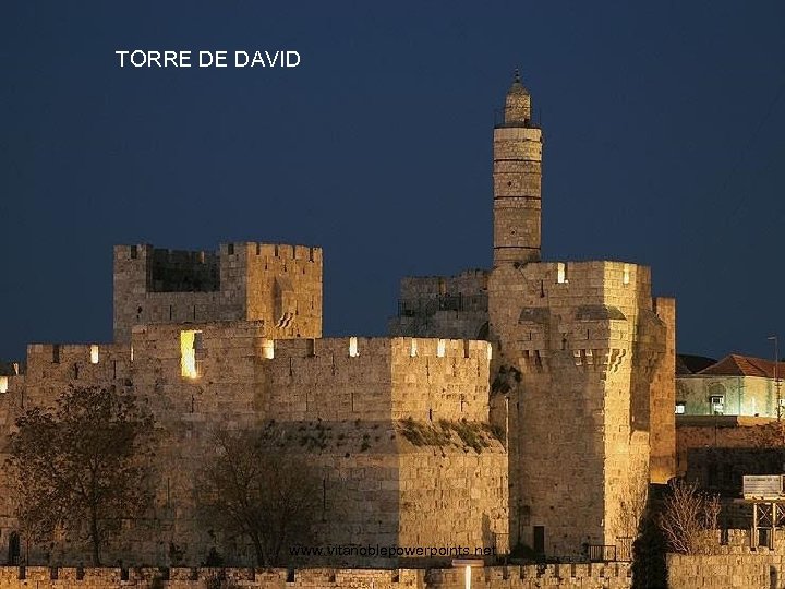 TORRE DE DAVID www. vitanoblepowerpoints. net 