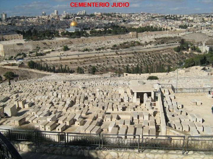 CEMENTERIO JUDIO www. vitanoblepowerpoints. net 
