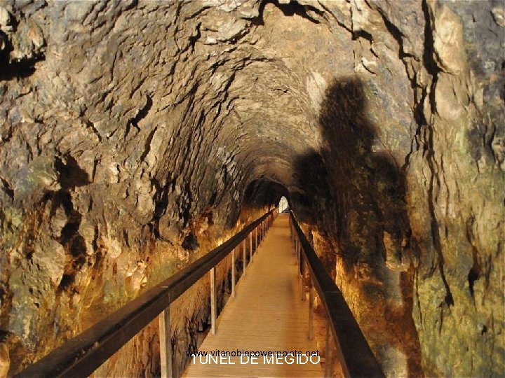 www. vitanoblepowerpoints. net TUNEL DE MEGIDO 
