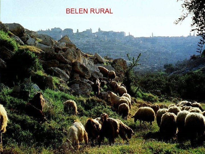 BELEN RURAL www. vitanoblepowerpoints. net 