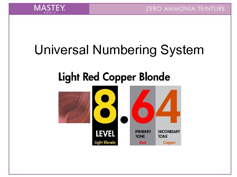 Universal Numbering System 