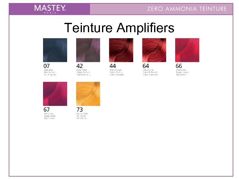 Teinture Amplifiers 