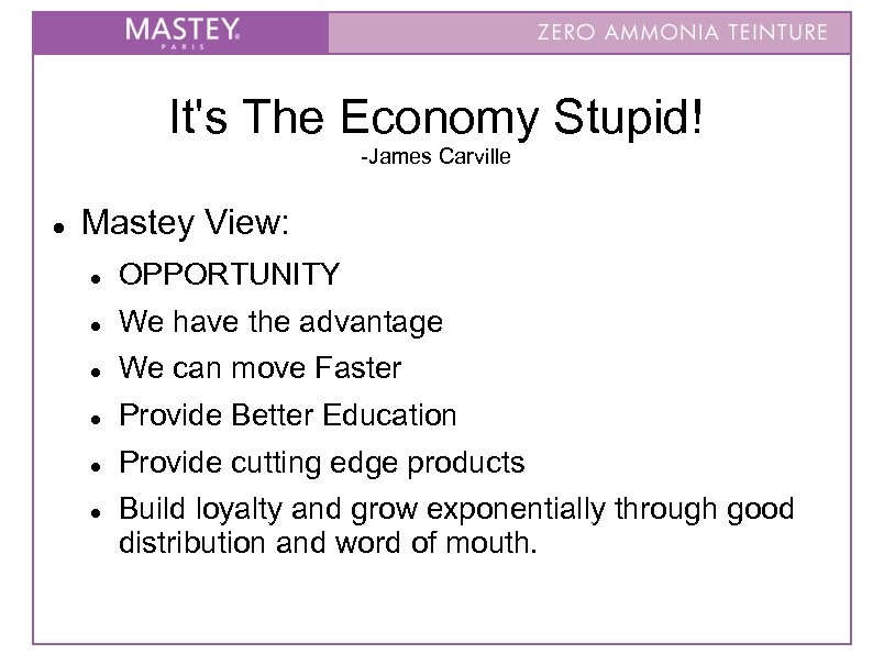 It's The Economy Stupid! -James Carville Mastey View: OPPORTUNITY We have the advantage We