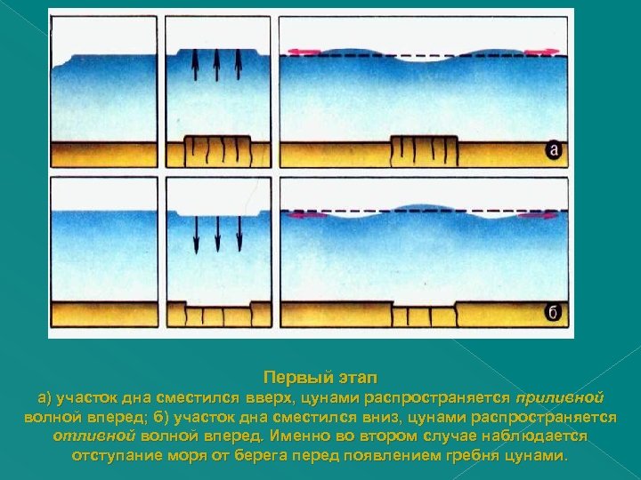 Первый этап а) участок дна сместился вверх, цунами распространяется приливной волной вперед; б) участок