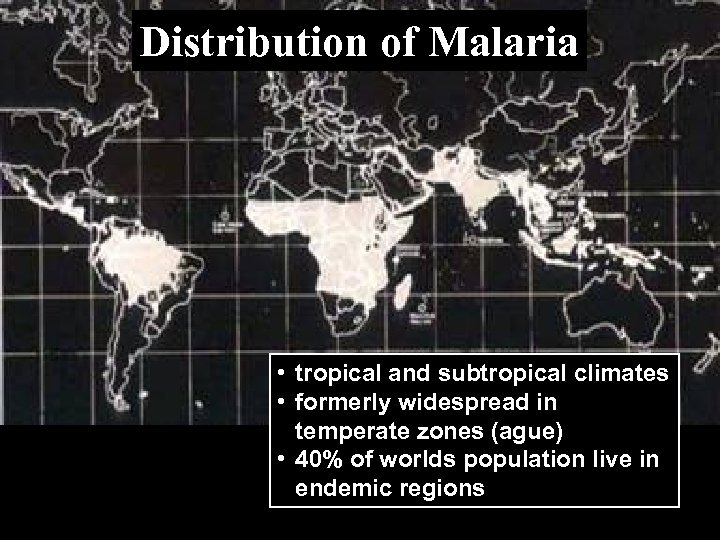 Distribution of Malaria • tropical and subtropical climates • formerly widespread in temperate zones