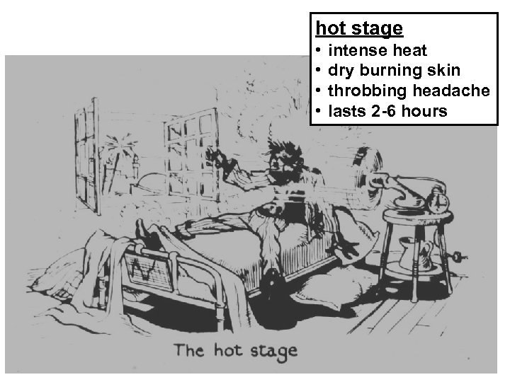 hot stage • • intense heat dry burning skin throbbing headache lasts 2 -6