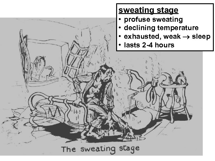 sweating stage • • profuse sweating declining temperature exhausted, weak sleep lasts 2 -4