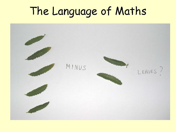 The Language of Maths • leaves 