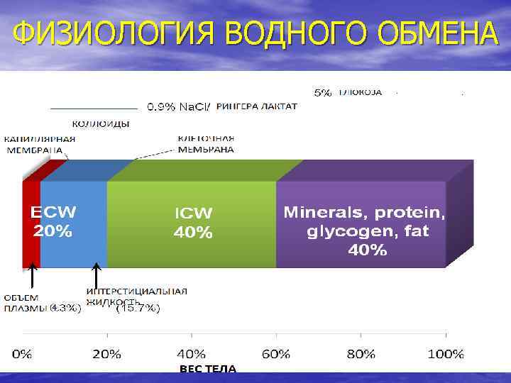 ФИЗИОЛОГИЯ ВОДНОГО ОБМЕНА 