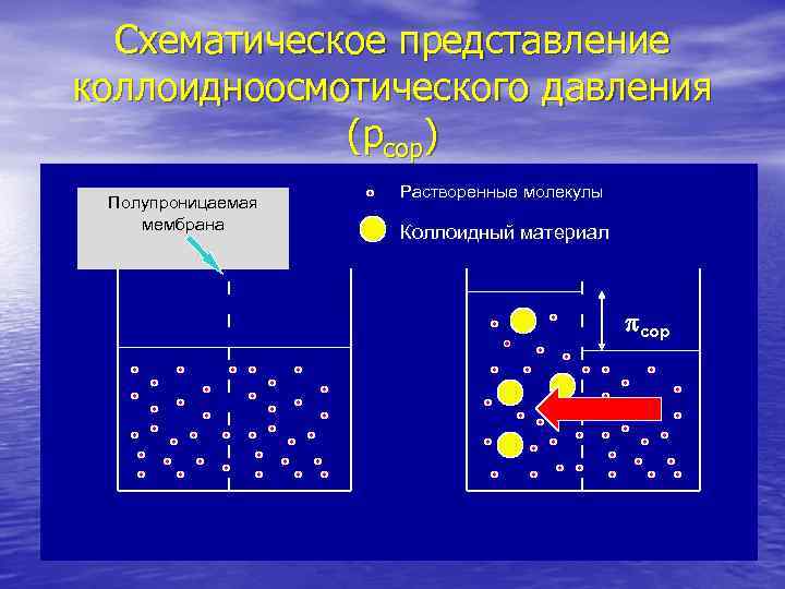 Схематическое представление коллоидноосмотического давления (pcop) Полупроницаемая мембрана Растворенные молекулы Коллоидный материал pcop 