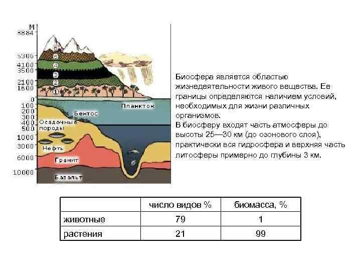 Калуга биосфера карта