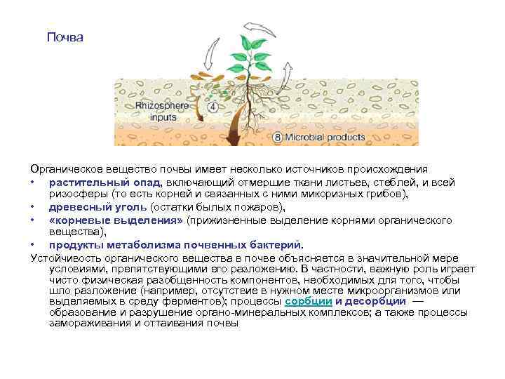 Назовите органические вещества почвы. Органическое вещество почвы. Разложение органических веществ в почве.