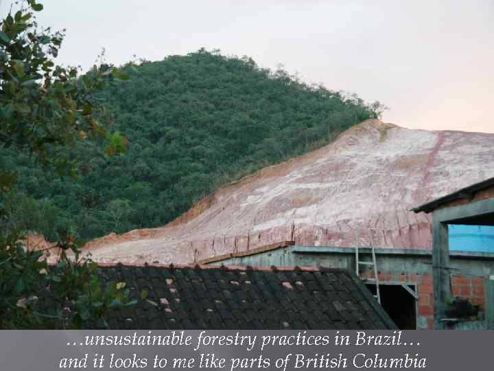…unsustainable forestry practices in Brazil… and it looks to me like parts of British