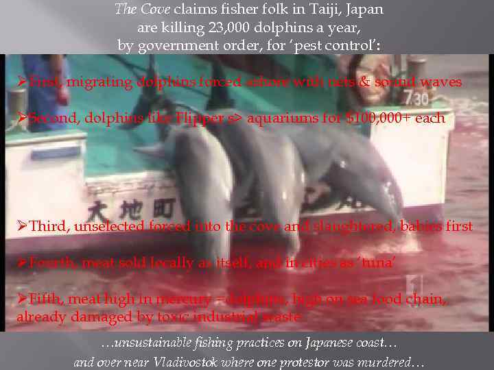 The Cove claims fisher folk in Taiji, Japan are killing 23, 000 dolphins a