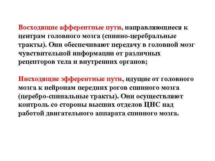 Восходящие афферентные пути, направляющиеся к центрам головного мозга (спинно-церебральные тракты). Они обеспечивают передачу в