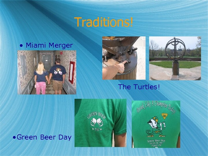 Traditions! • Miami Merger The Turtles! • Green Beer Day 