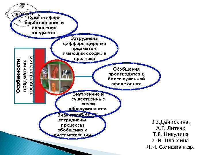 Особенности предметных представлений Сужена сфера сопоставления и сравнения предметов Затруднена дифференцировка предметов, имеющих сходные