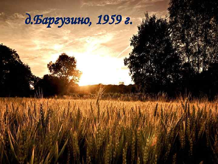 д. Баргузино, 1959 г. 