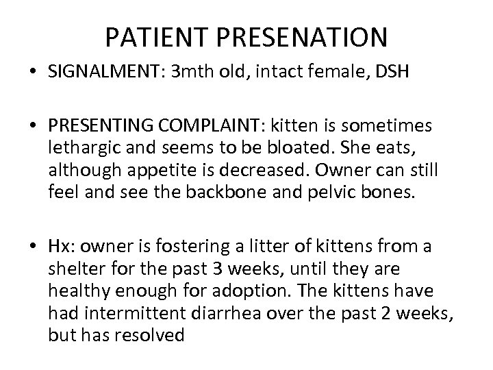 PATIENT PRESENATION • SIGNALMENT: 3 mth old, intact female, DSH • PRESENTING COMPLAINT: kitten