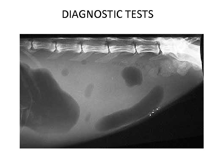 DIAGNOSTIC TESTS 