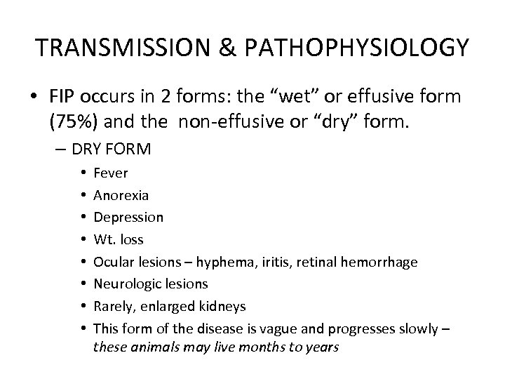 TRANSMISSION & PATHOPHYSIOLOGY • FIP occurs in 2 forms: the “wet” or effusive form