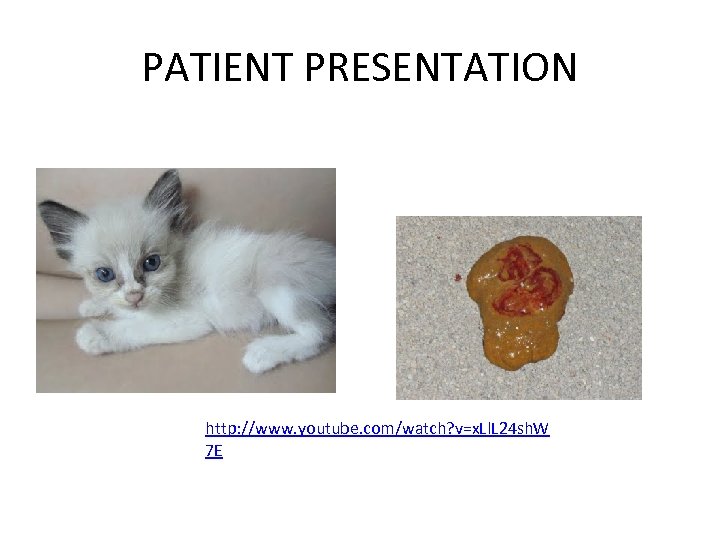 PATIENT PRESENTATION http: //www. youtube. com/watch? v=x. Ll. L 24 sh. W 7 E