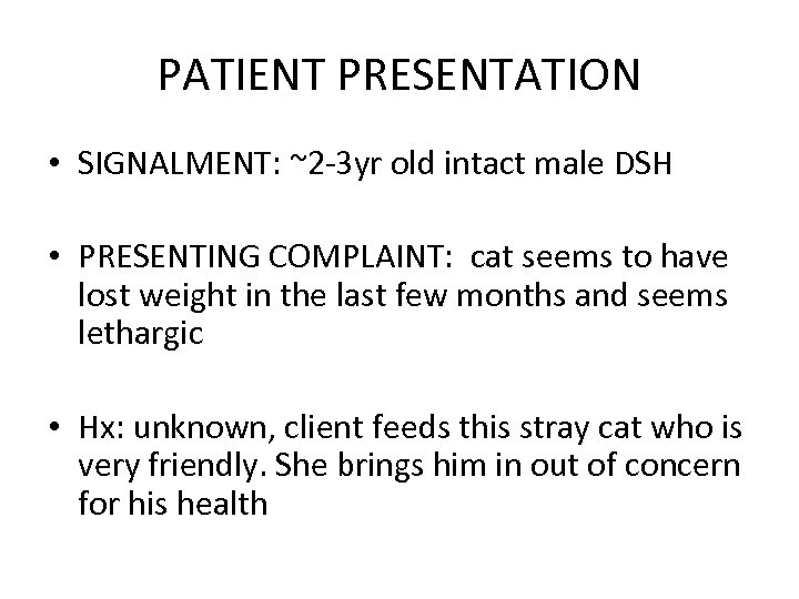 PATIENT PRESENTATION • SIGNALMENT: ~2 -3 yr old intact male DSH • PRESENTING COMPLAINT:
