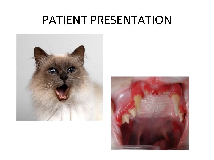 PATIENT PRESENTATION 